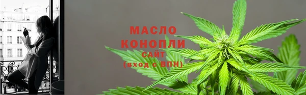 индика Володарск
