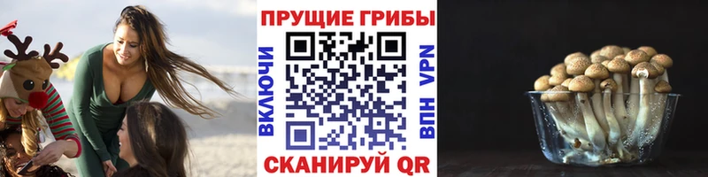 купить закладку Назарово Псилоцибиновые грибы MAGIC MUSHROOMS